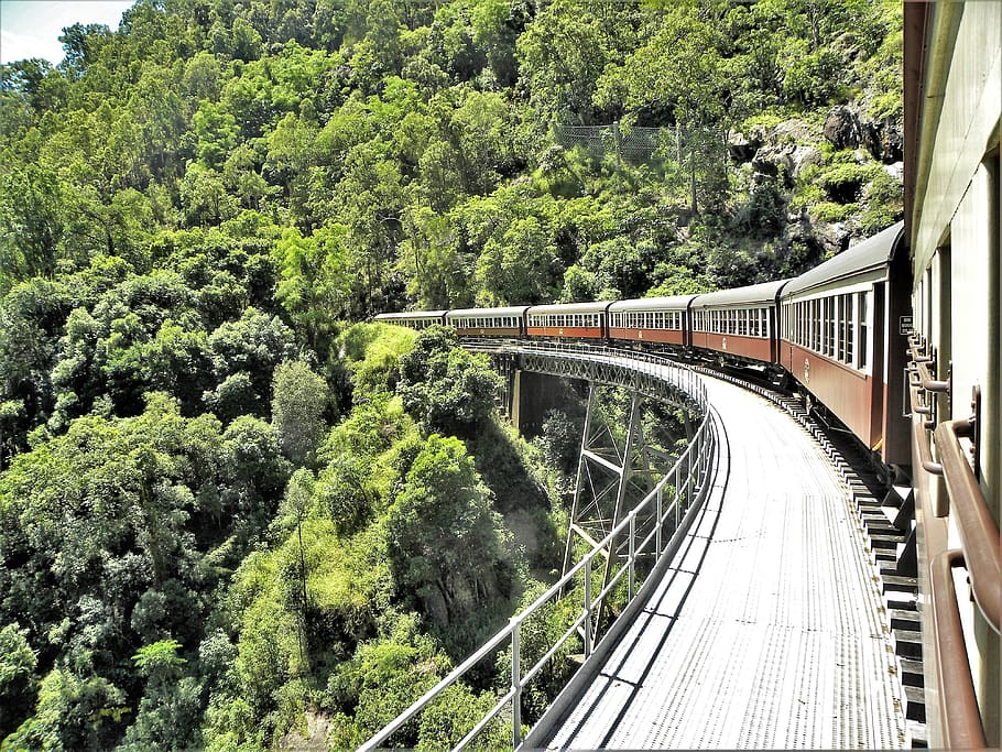 train, railway, mountain, bridge, carriage, tree, bridge - man made structure HD wallpaper