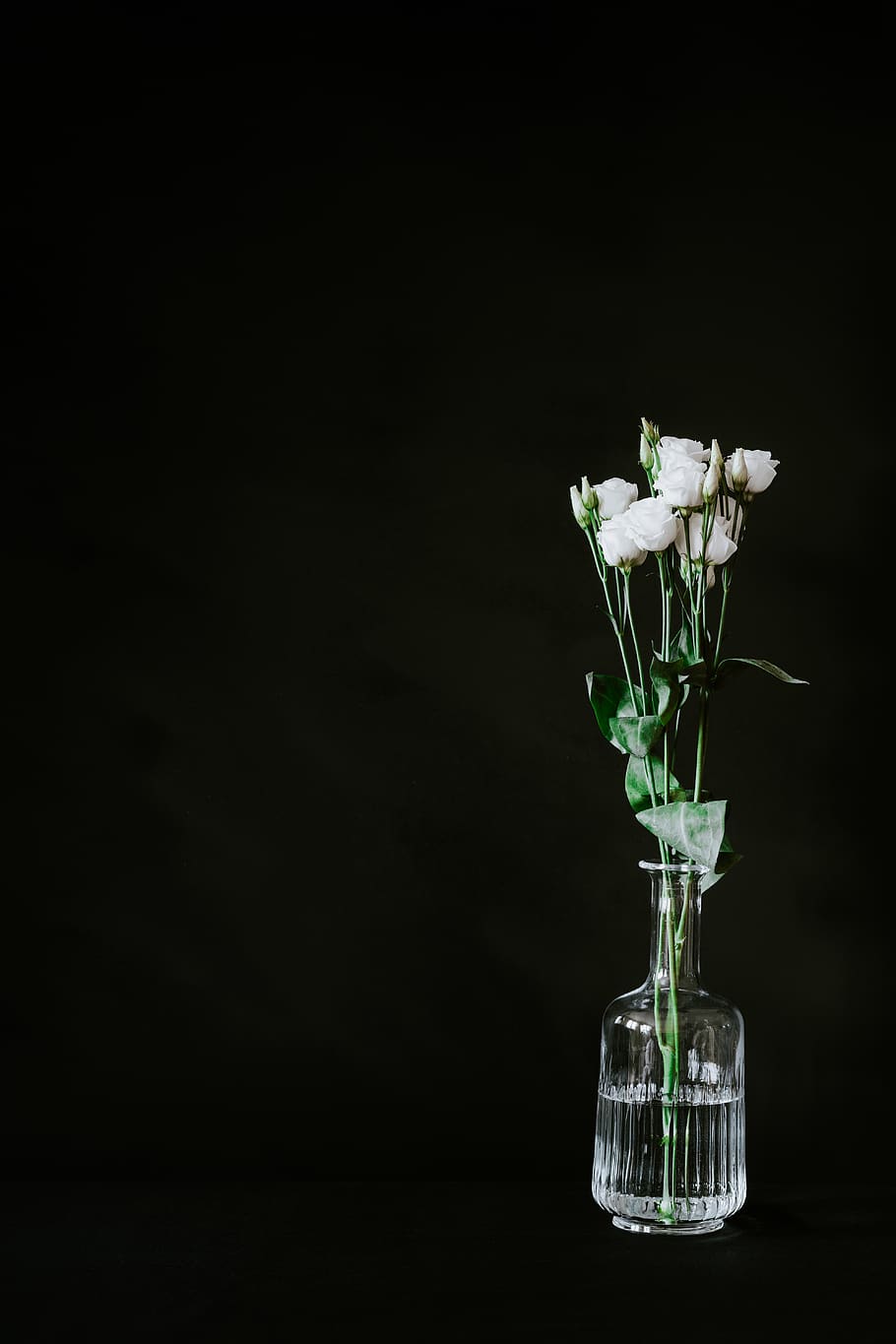 white roses, plant, flower, blossom, vase, flower arrangement HD wallpaper