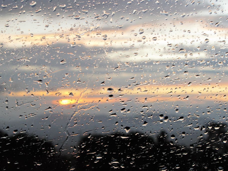 rain, drops, window, wet, glass - material, water, transparent HD wallpaper