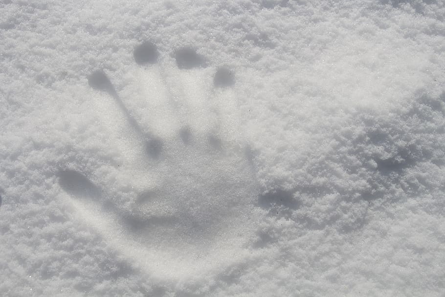 Hand Print On Snow, cold, daylight, ice, weather, white, winter HD wallpaper