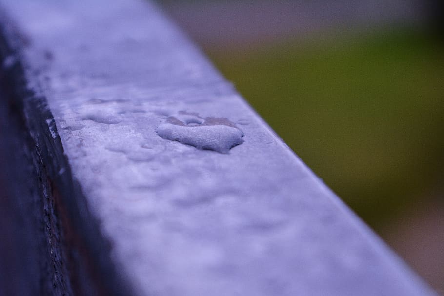 micro, water, rain, love, close-up, no people, selective focus HD wallpaper