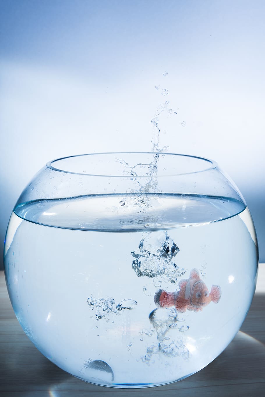 fish, composing, blub, water, summer, cold, hot, splash, animal HD wallpaper