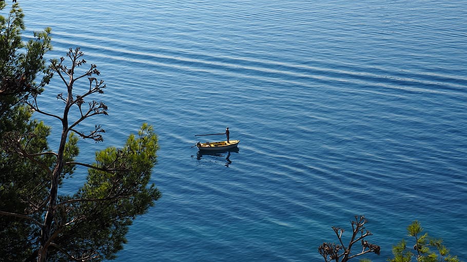 croatia, split, tree, sea, boat, water, high angle view, beauty in nature HD wallpaper