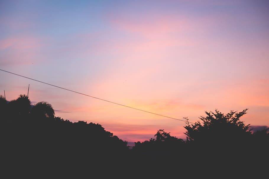 nature, outdoors, sky, cable, silhouette, weather, blue, pink