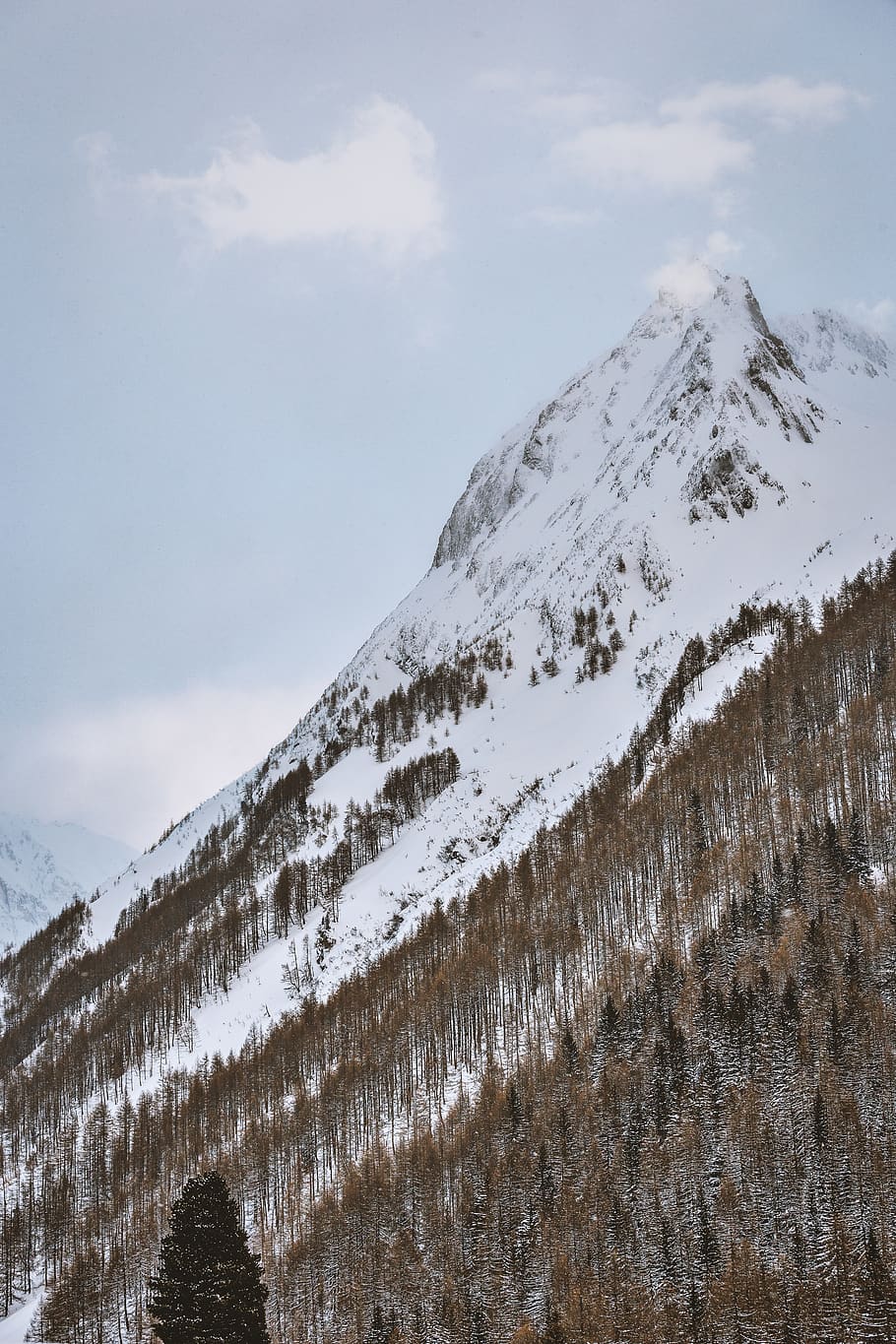 snow-covered mountain, nature, ice, outdoors, plant, tree, mountain range HD wallpaper