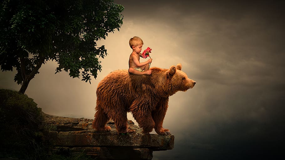 boy, child, human, flower, plant, landscape, mountains, tree HD wallpaper