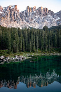 landscape photo of trees near mountain during daytime, water HD wallpaper