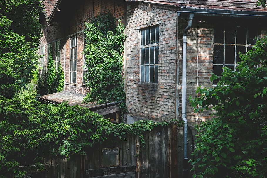 Gray Concrete House Near Green Trees, abandoned, architecture HD wallpaper