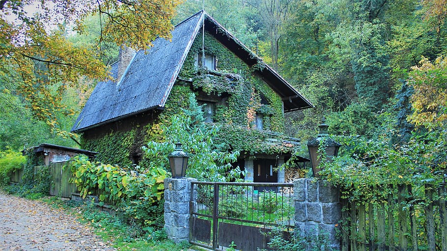 czechia, zbraslav, architecture, built structure, plant, tree HD wallpaper