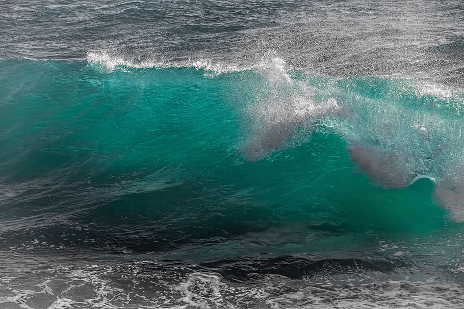 wave, water, surf, ocean, sea, spray, wind, motion, swirl, splash HD wallpaper