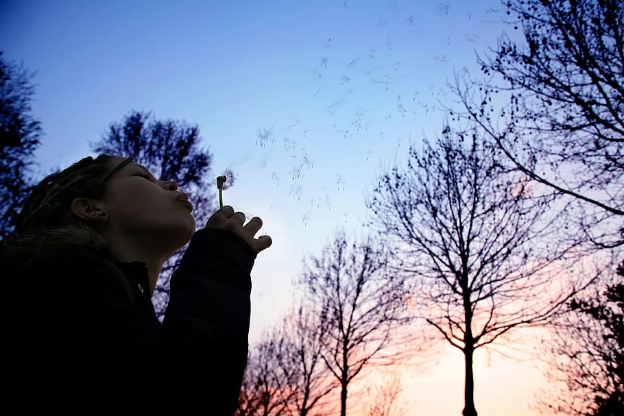 woman holding bubble maker, person, tree, silhouette, sunset HD wallpaper
