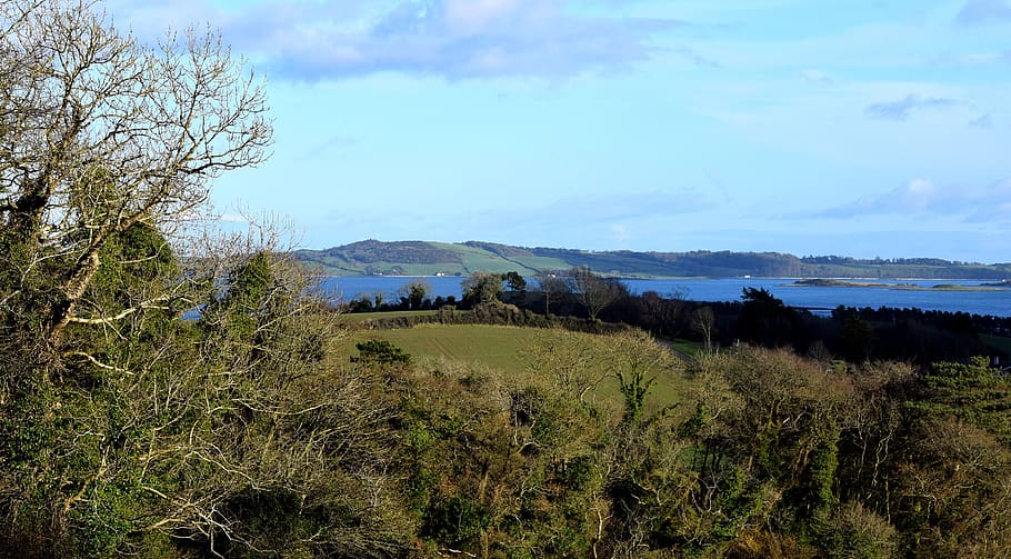 nature, outdoors, countryside, hill, near killyleagh, northern ireland / uk
