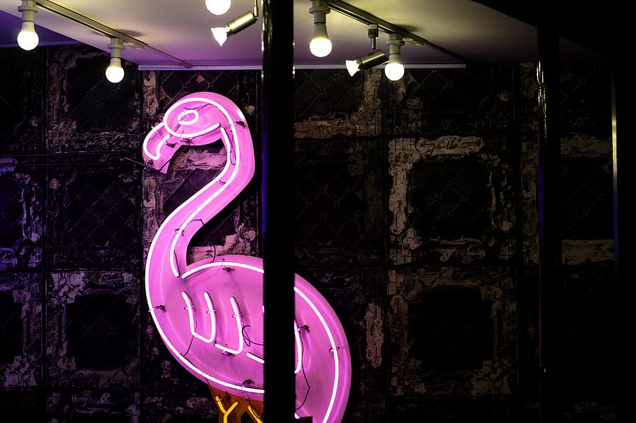 purple and white flamingo LED signage, light, neon, tokyo, harajuku