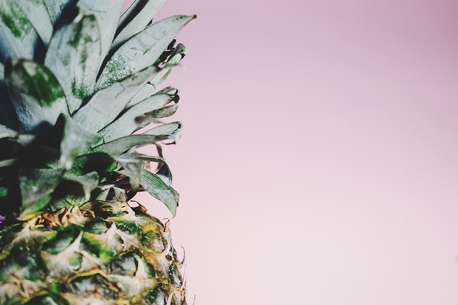 pineapple, dessert, appetizer, fruit, juice, crop, plant, copy space HD wallpaper