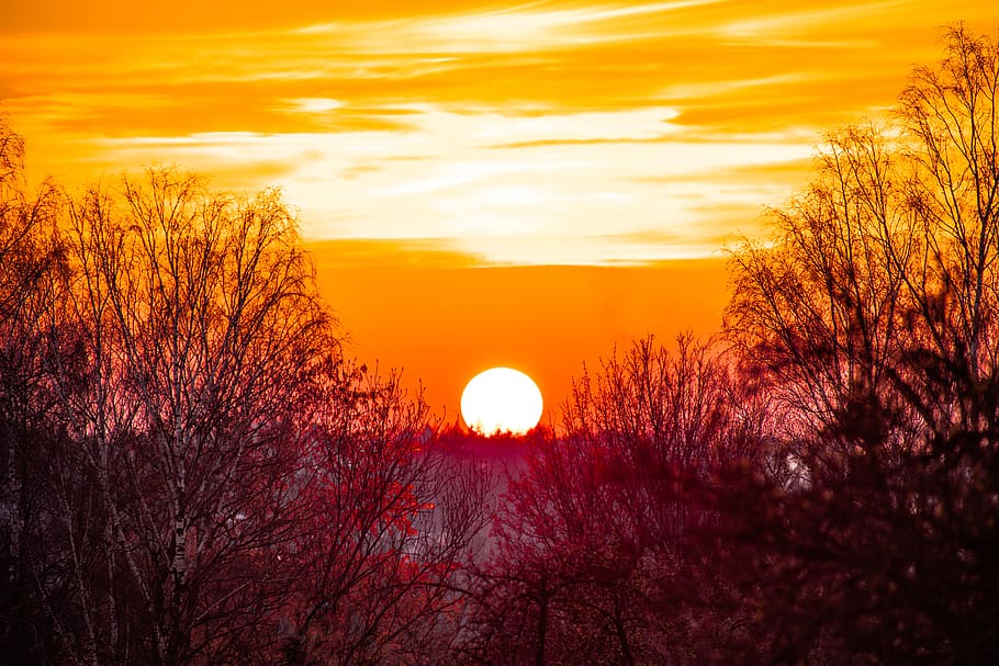 sun, evening, sunset, sky, landscape, dusk, abendstimmung, clouds HD wallpaper