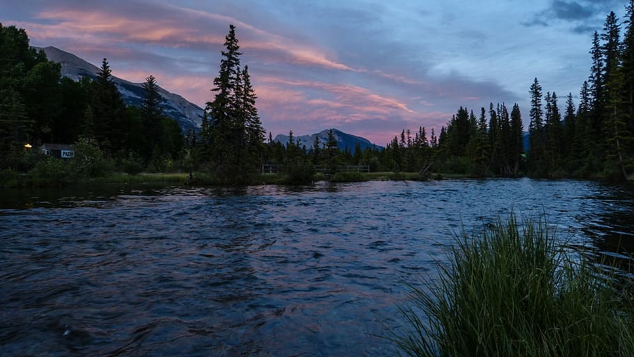 canmore, canada, grass, trees, trail, mountain, mountains, downtown HD wallpaper