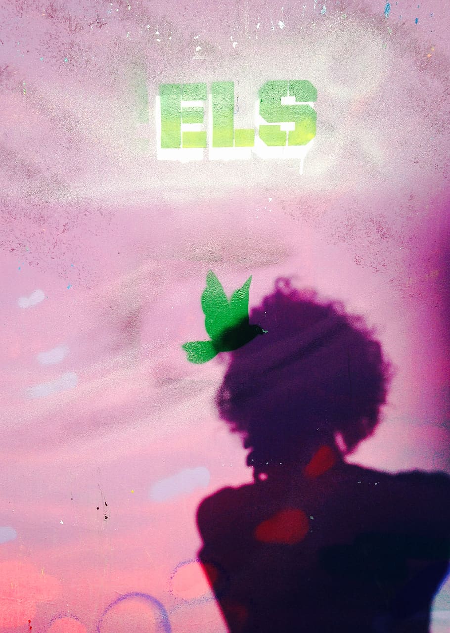 spain, lleida, pattern, green, violet, pink, bird, sign, shadow HD wallpaper