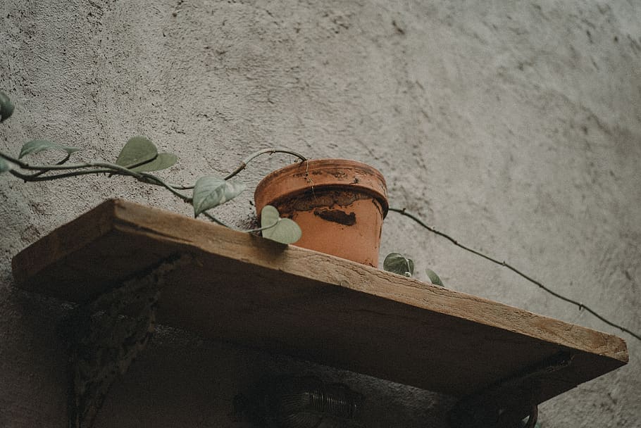 brown pot on rack, no people, wood - material, wall - building feature HD wallpaper