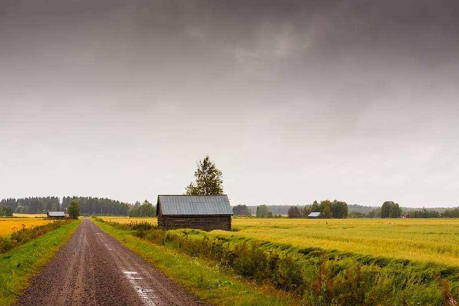 finland, matkaniva, barns, fields, sky, nature, rural, farming HD wallpaper