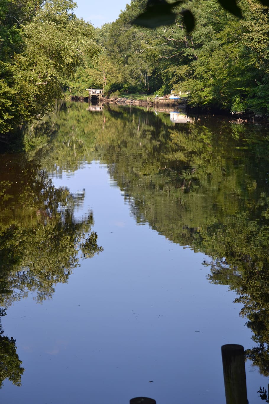 water, reflection, plant, tree, tranquility, nature, lake, tranquil scene HD wallpaper