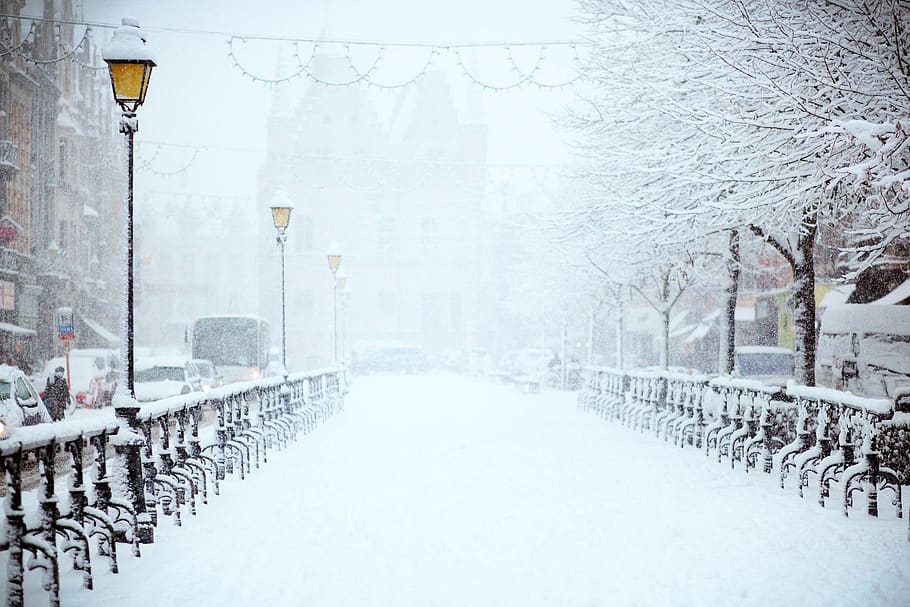 snow, winter, white, cold, weather, ice, nature, urban, city HD wallpaper