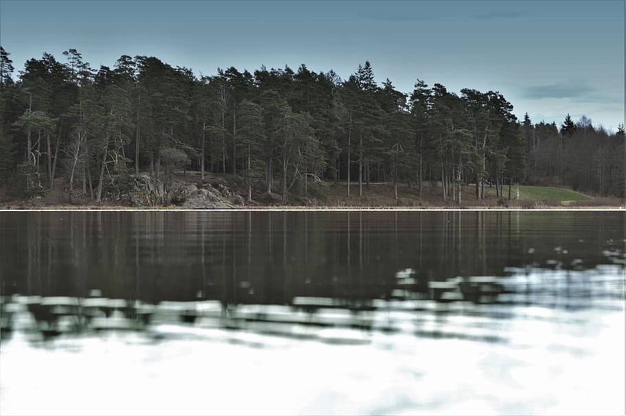 sweden, water, forest, tree, trees, lake, outside, outdoor HD wallpaper