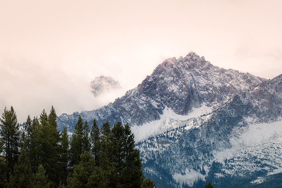 Mountain and Trees, cold, fog, landscape, mountain peak, scenic HD wallpaper