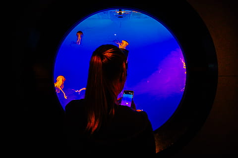human, person, window, flare, light, porthole, silhouette, sphere HD wallpaper