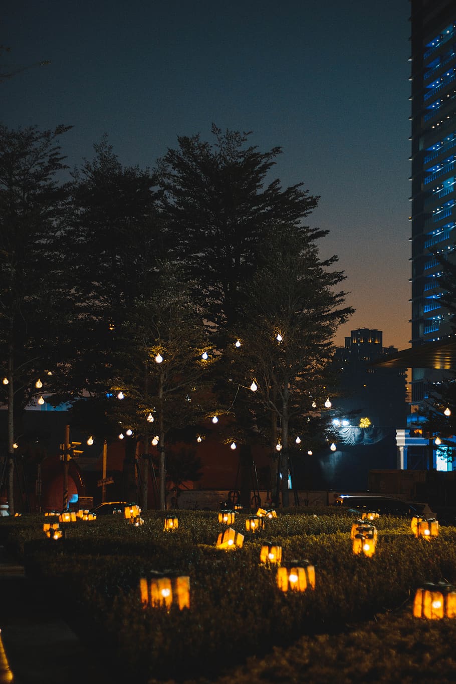taiwan, trees, lights, streets, illuminated, night, building exterior HD wallpaper