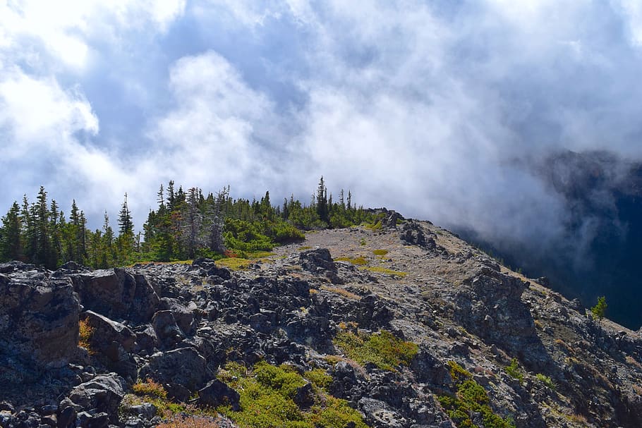 mountain, morning, clouds, mist, trees, nature, landscape, sky HD wallpaper