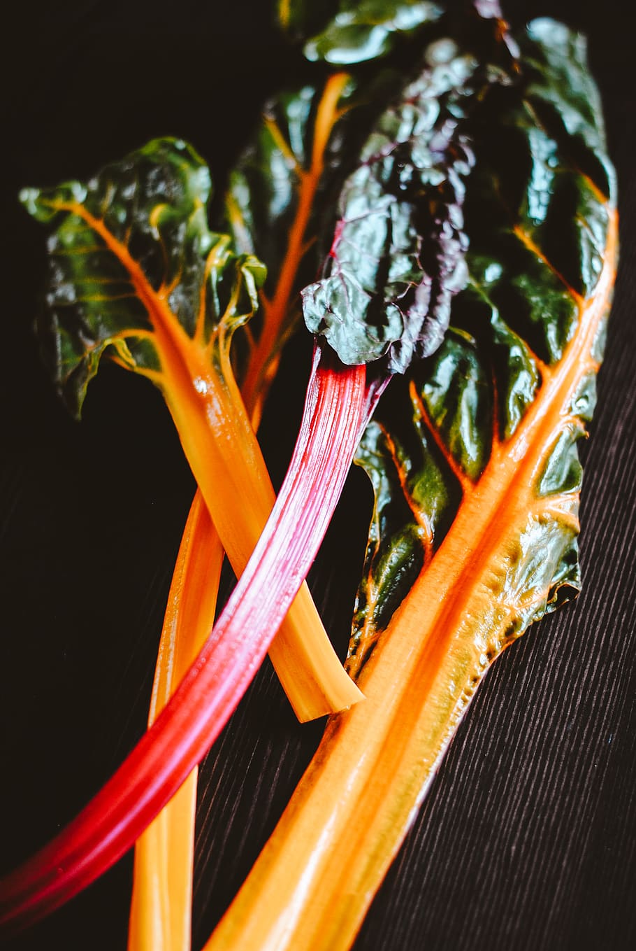 green cabbage, plant, food, produce, vegetable, rhubarb, rainbow chard HD wallpaper