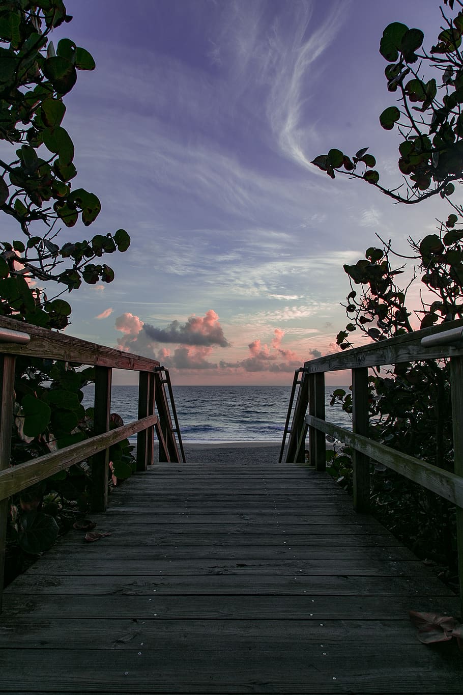 sky, direction, plant, nature, cloud - sky, the way forward HD wallpaper