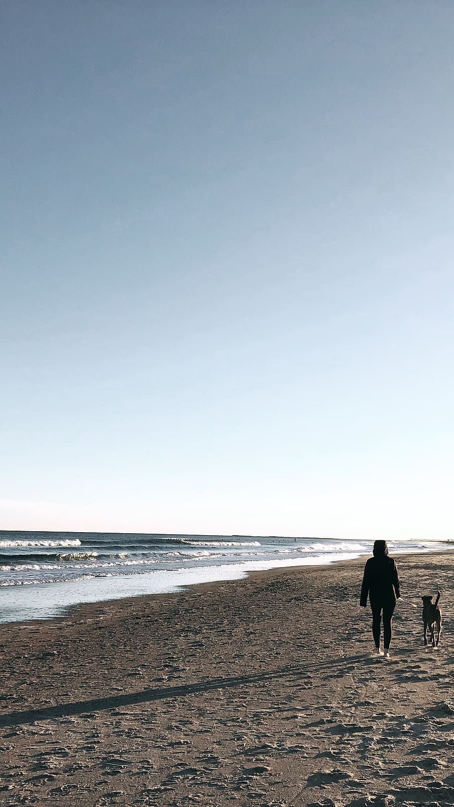 ocean, waves, dog, sand, beach, surf, winter, sea, water, land HD wallpaper