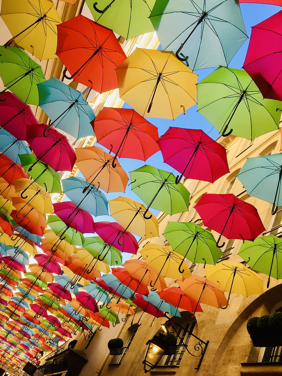 assorted-color umbrella lot, multi colored, protection, low angle view HD wallpaper