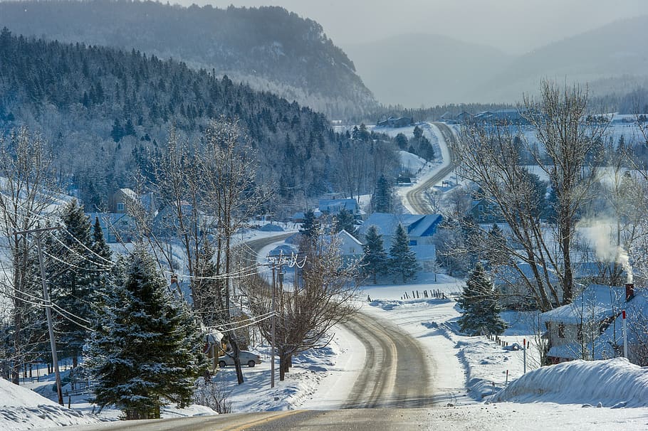 empty concrete road, tree, plant, fir, abies, mountain, snow, HD wallpaper