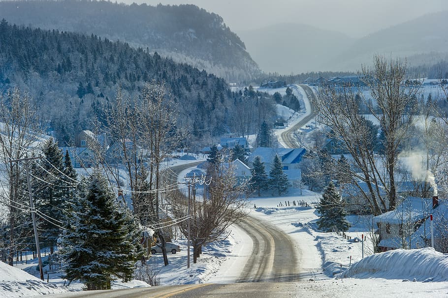 empty concrete road, tree, plant, fir, abies, mountain, snow HD wallpaper