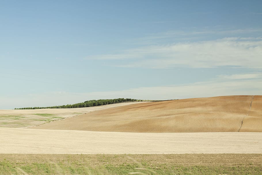 wild, fields, sky, clouds, nature, landscape, environment, tranquility HD wallpaper