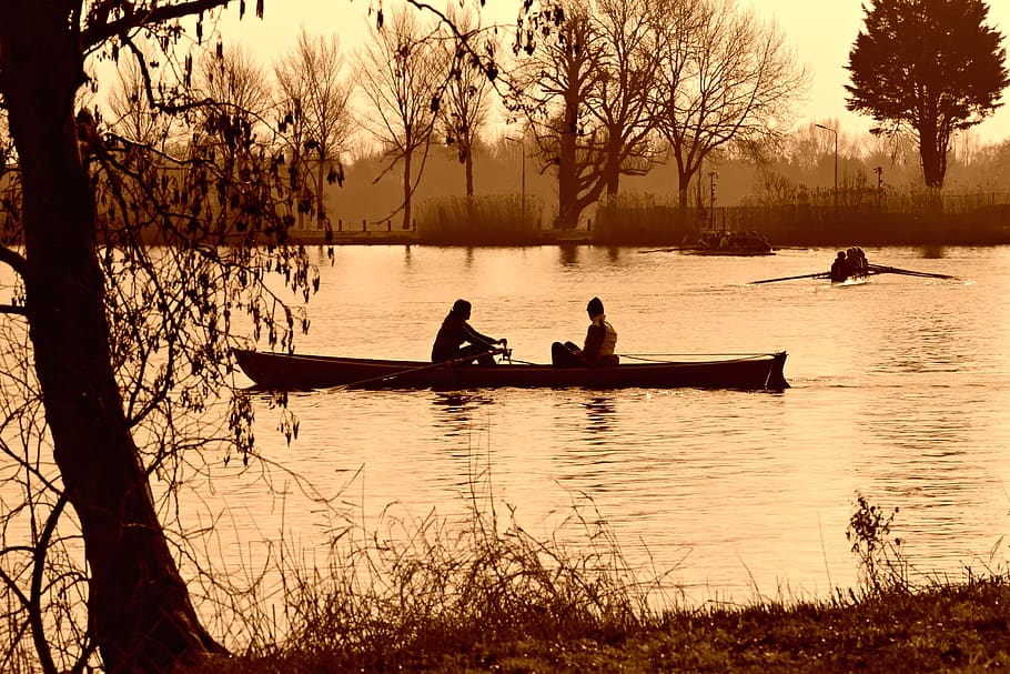 rowboat, canoe, rowing, oar, river, water, water recreation HD wallpaper