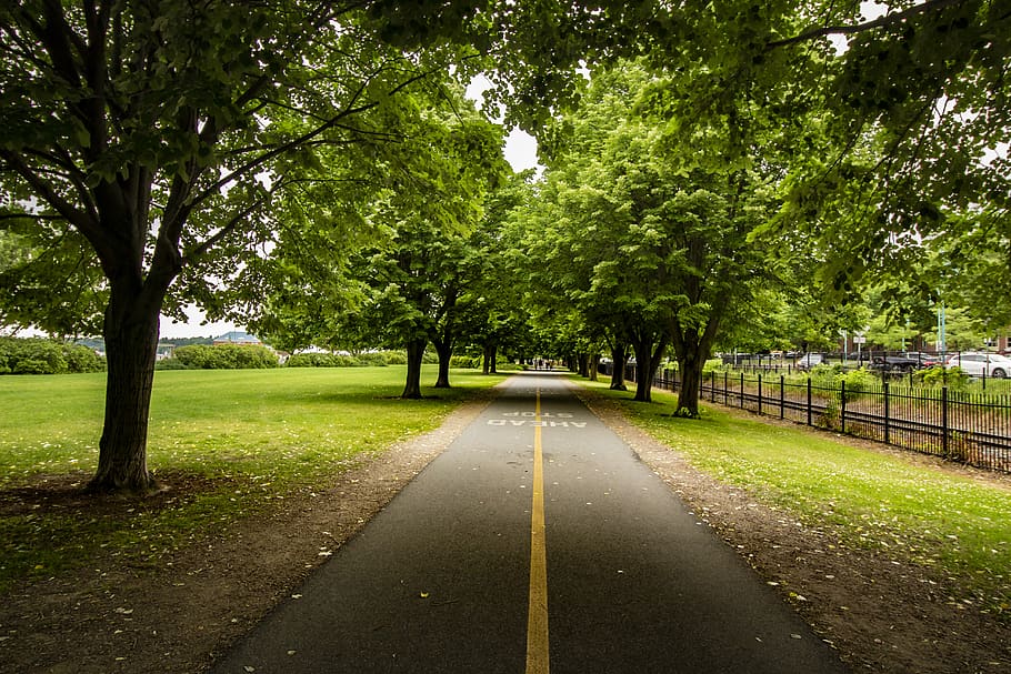 united states, burlington, vt, burlington waterfront park, nature, HD wallpaper