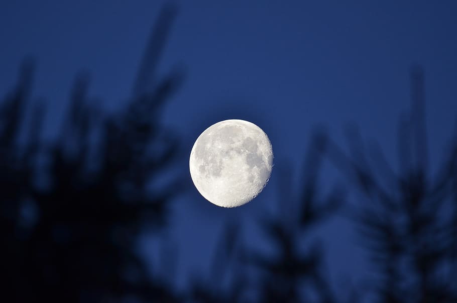 moon, night, glow, sky, dream, scenery, mood, space, man, crater HD wallpaper