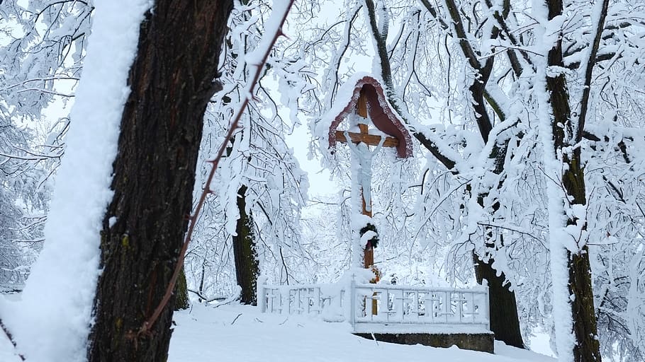 winter, cold, snow, zing, christmas, cristianity, cold temperature HD wallpaper