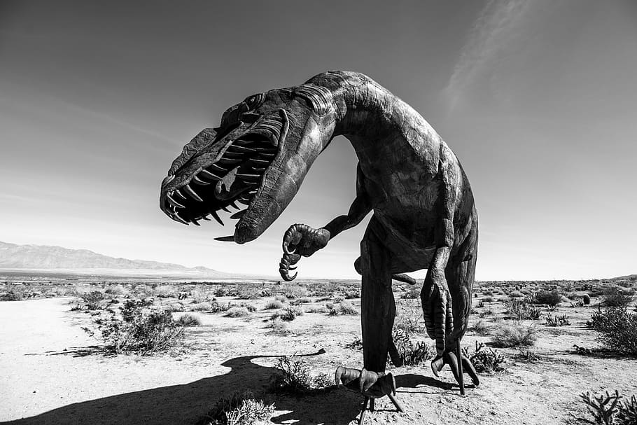 gray scale photography of Dinosaur decor, sky, nature, day, one person, HD wallpaper