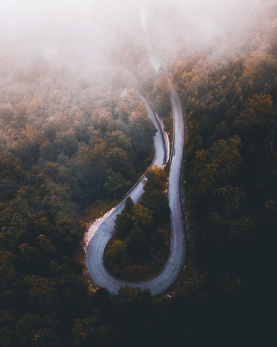 aerial photo of curved highway during daytime, road, tree, drone view HD wallpaper