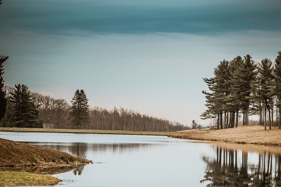 lake, trees, forest, sky, love, water, plant, beauty in nature HD wallpaper