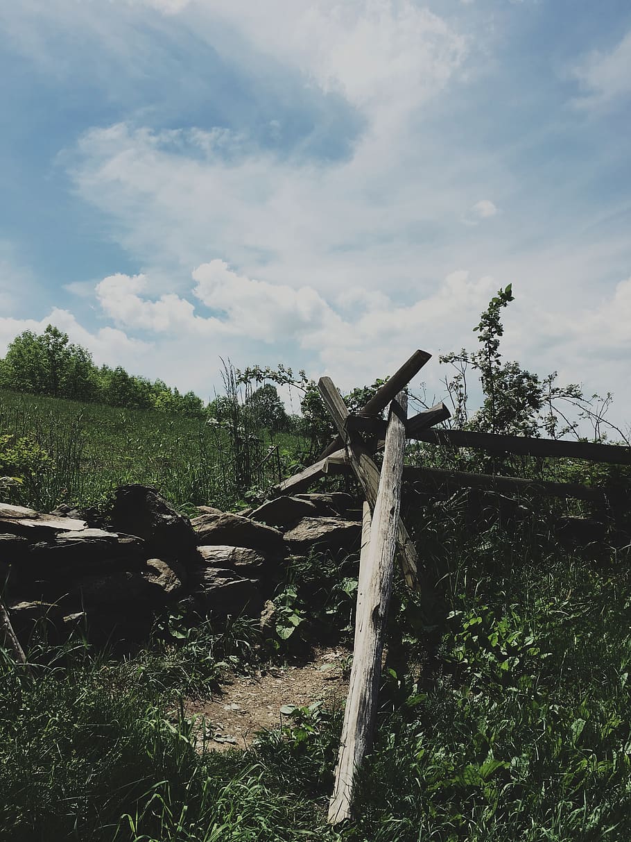 Brown Woods, clouds, cropland, daylight, daytime, environment HD wallpaper