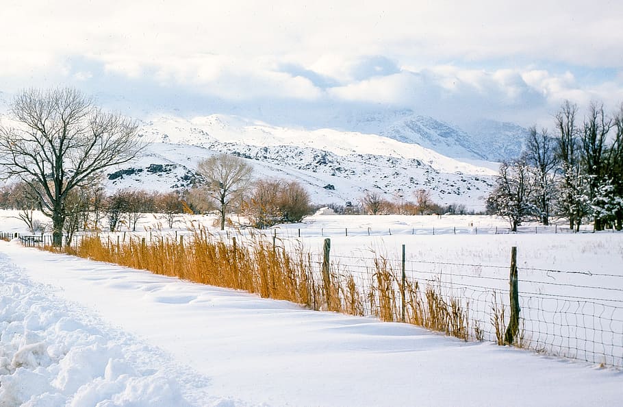 Snow covered forest and mountains, barbed wire, beautiful, branch HD wallpaper