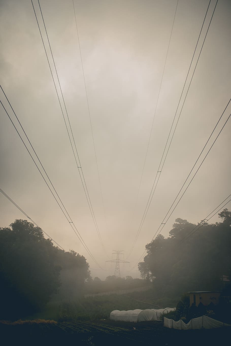 guatemala, tactic, frame, mist, morning, cable, electricity HD wallpaper