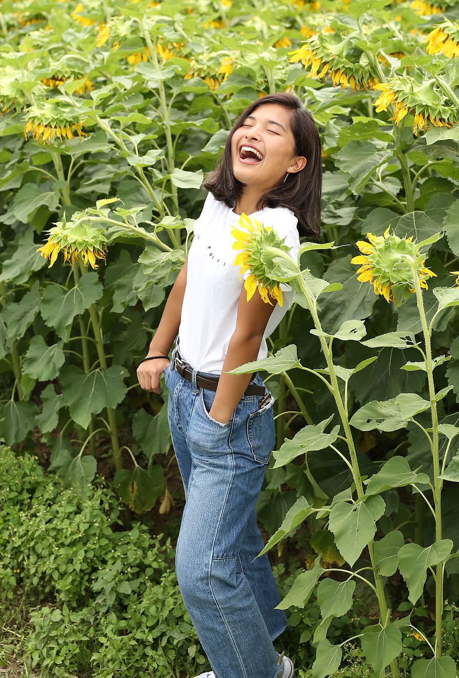 united states, massillon, leisure activity, one person, plant HD wallpaper