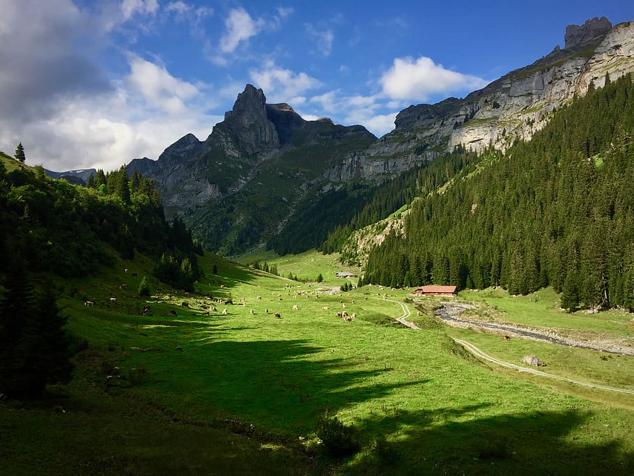Green Grass Field Near Mountain Under Gray and White Sky at Day HD wallpaper