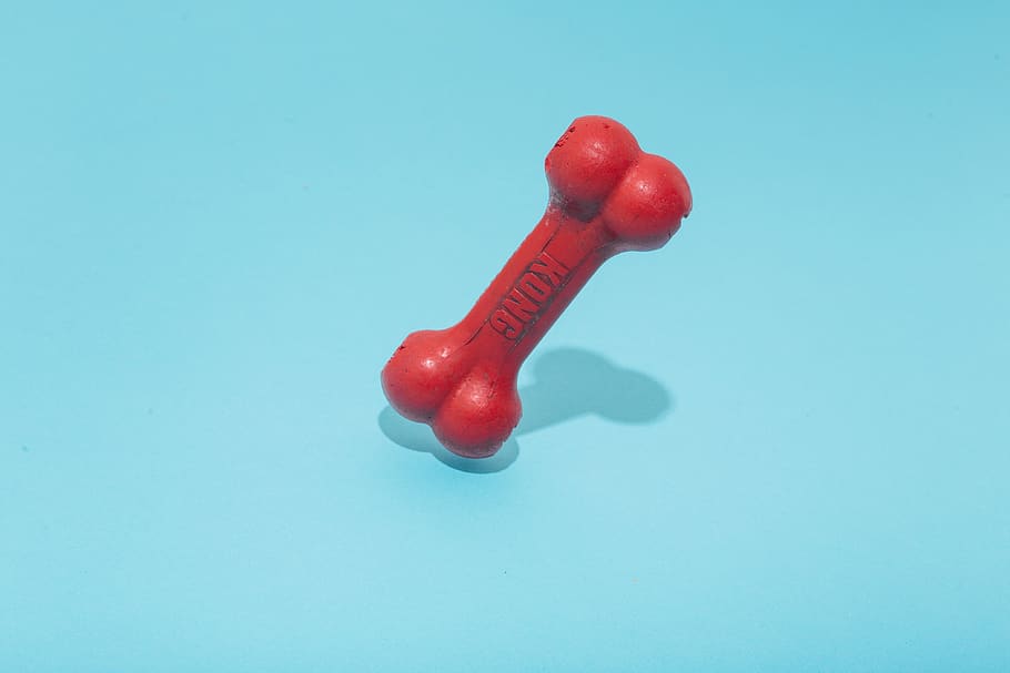 red Kong bone figure on teal surface, blue, studio shot, colored background HD wallpaper